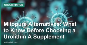 Mitopure Alternatives: What to Know Before Choosing a Urolithin A Supplement