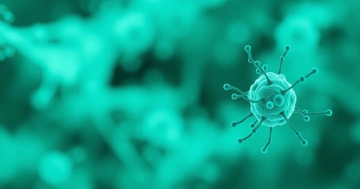 What the Clinical Trials Actually Used - UrolithinHub