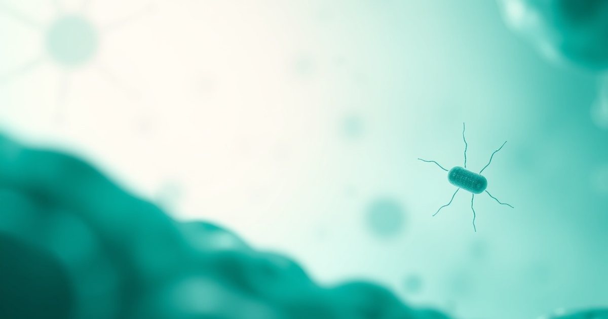 Frequently Asked Questions - UrolithinHub
