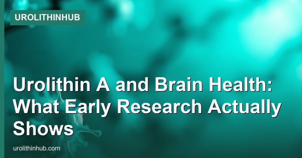 Urolithin A and Brain Health: What Early Research Actually Shows - UrolithinHub