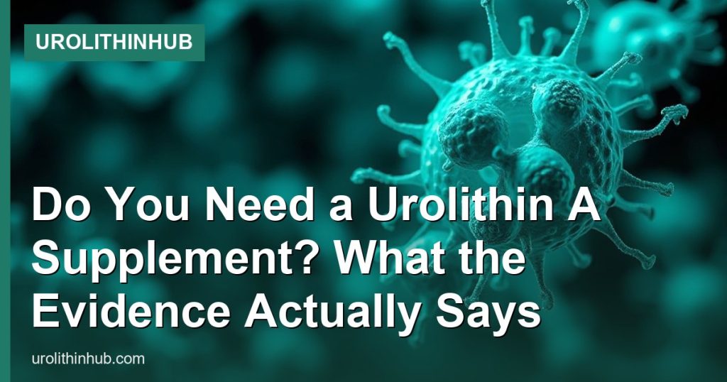 Do You Need a Urolithin A Supplement? What the Evidence Actually Says - UrolithinHub