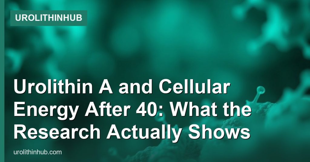 Urolithin A and Cellular Energy After 40: What the Research Actually Shows - UrolithinHub