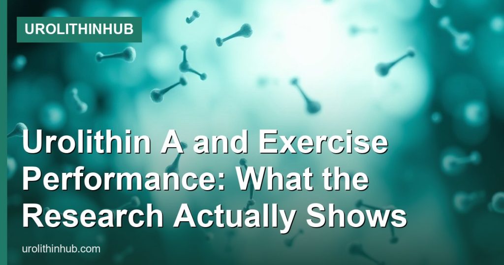 Urolithin A and Exercise Performance: What the Research Actually Shows - UrolithinHub