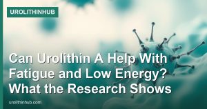 Can Urolithin A Help With Fatigue and Low Energy? What the Research Shows
