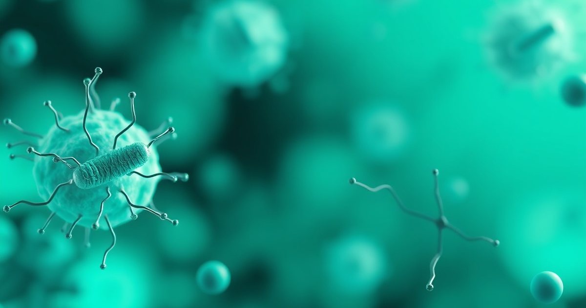 Frequently Asked Questions - UrolithinHub