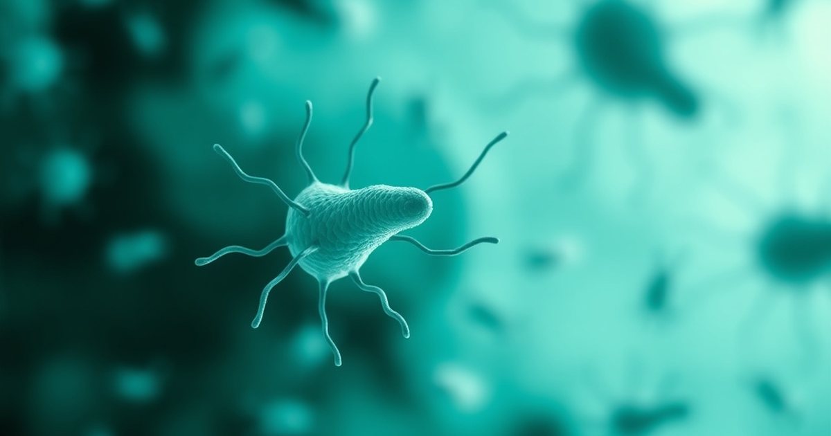 The Gut Microbiome, Aging, and Reproductive Health - UrolithinHub