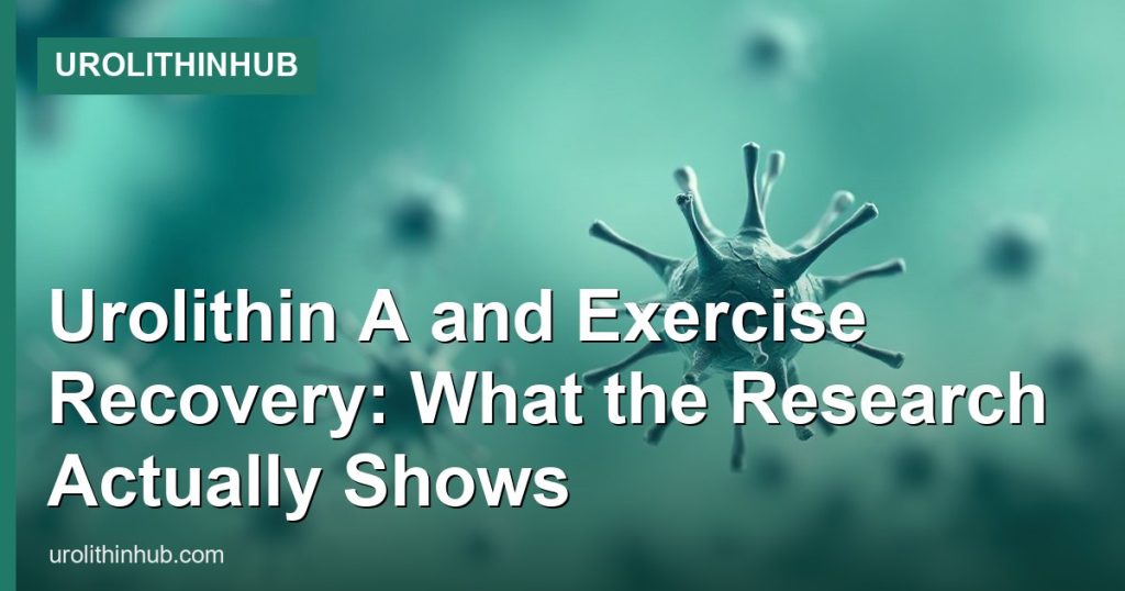 Urolithin A and Exercise Recovery: What the Research Actually Shows - UrolithinHub