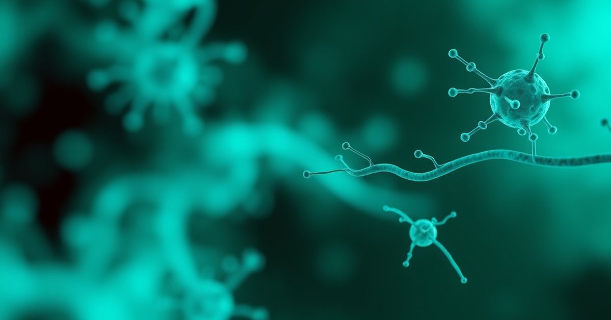 Frequently Asked Questions - UrolithinHub