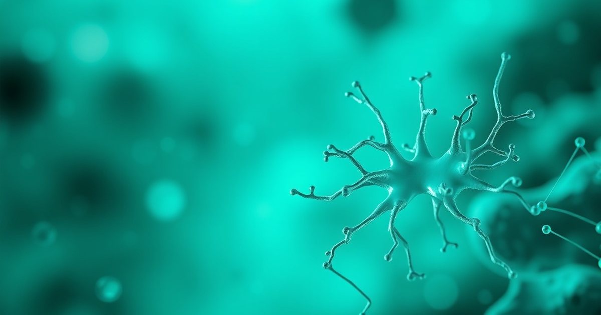 Taking Urolithin A With Food: The Fat Connection - UrolithinHub