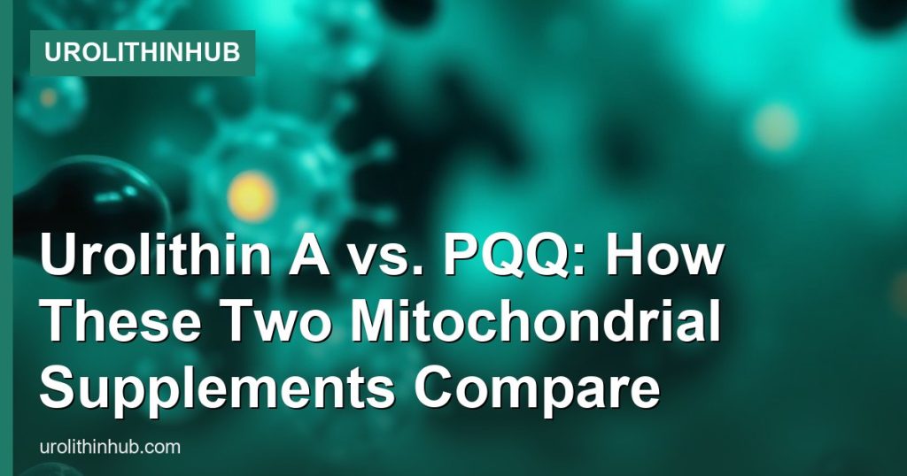Urolithin A vs. PQQ: How These Two Mitochondrial Supplements Compare - UrolithinHub