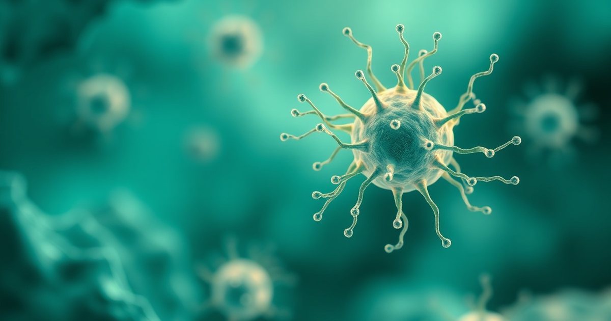 Frequently Asked Questions - UrolithinHub