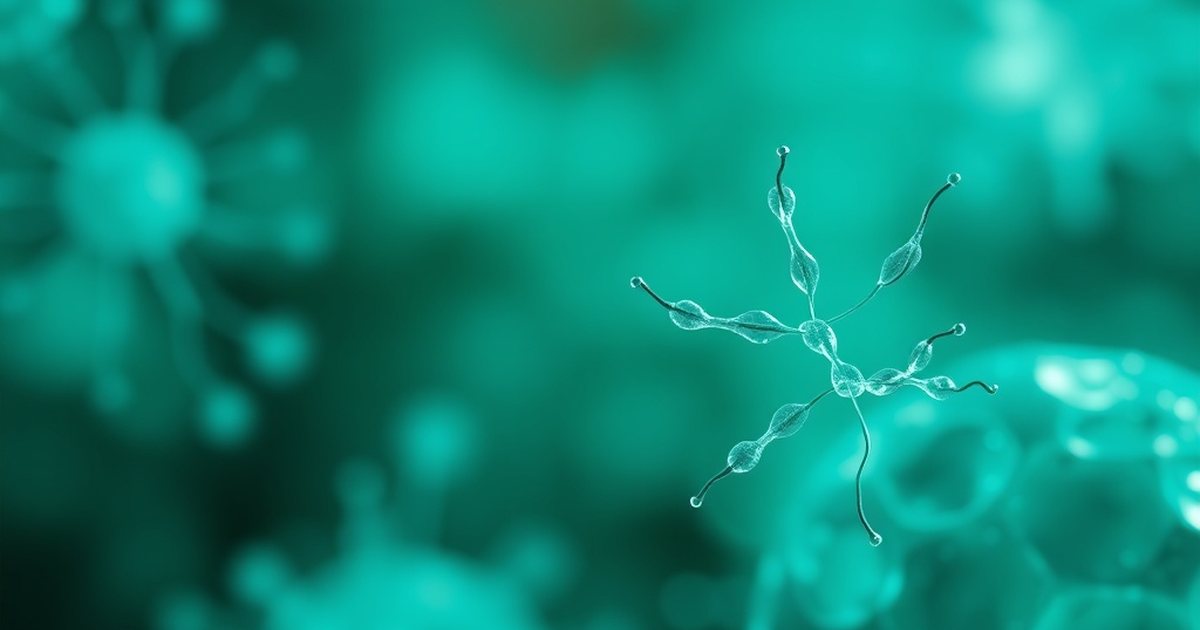 Frequently Asked Questions - UrolithinHub